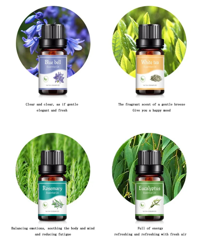 12 Flavors Essential Oils for Aroma Diffuser Air Humidifier Home Water-soluble 10ml Air Freshener Scents Fragrance Oil Perfume