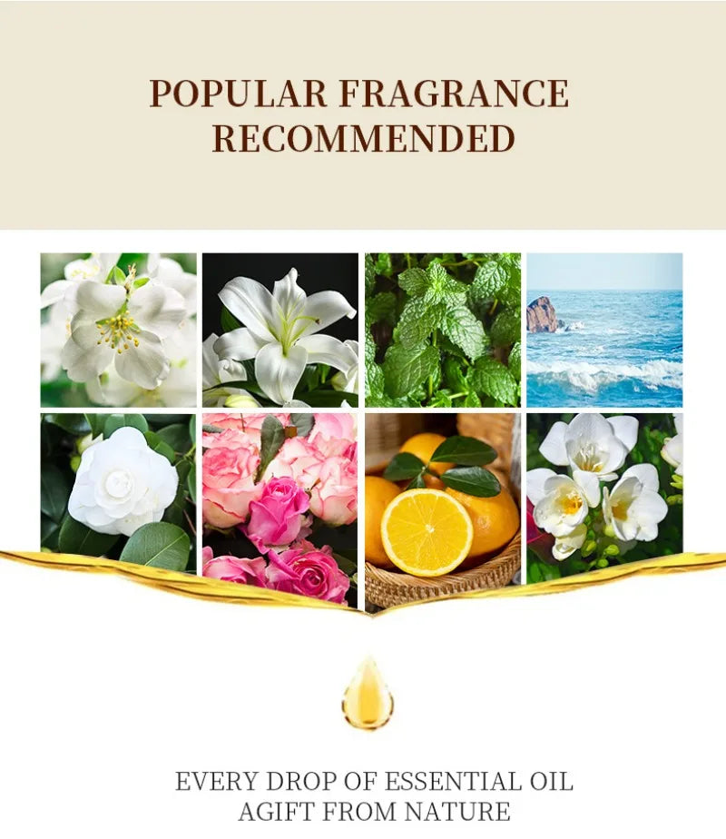 12 Flavors Essential Oils for Aroma Diffuser Air Humidifier Home Water-soluble 10ml Air Freshener Scents Fragrance Oil Perfume